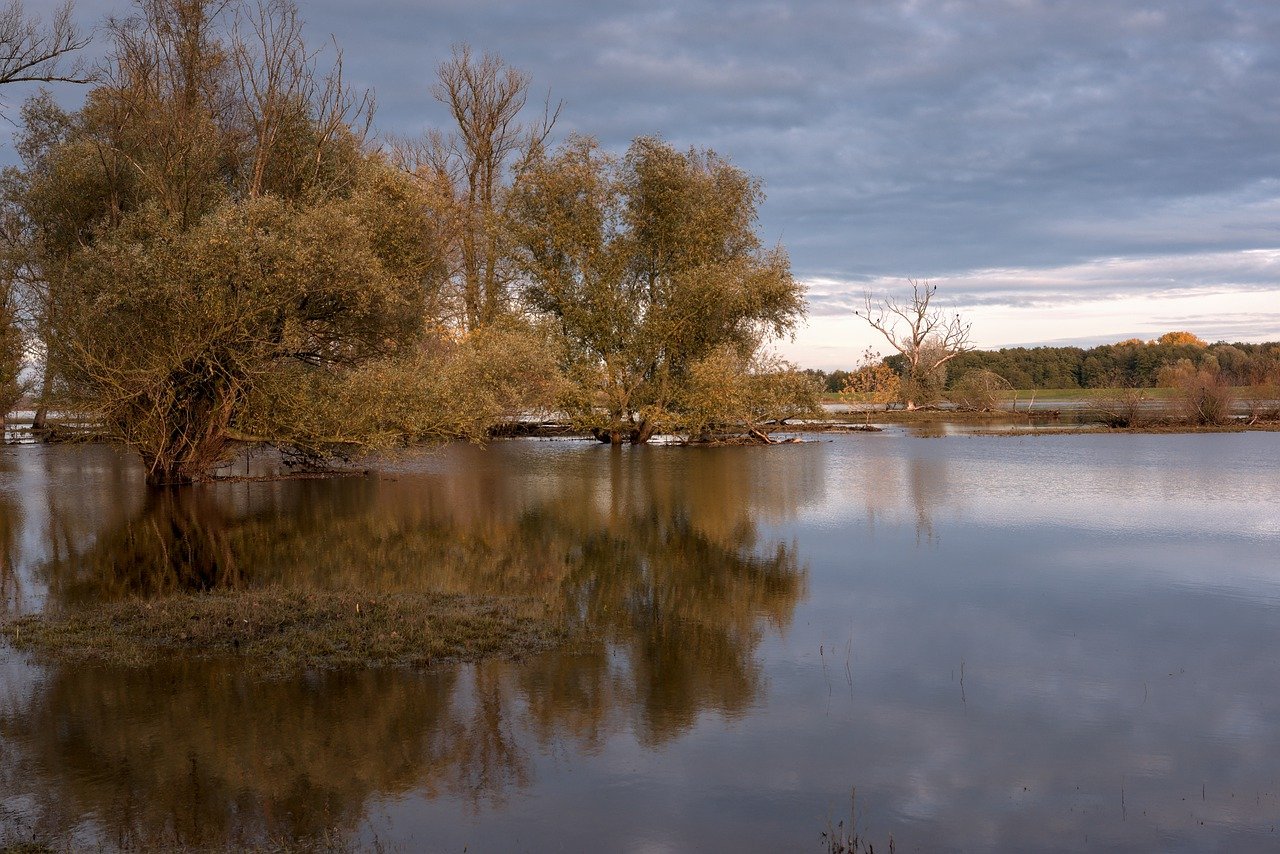 Fermeture berges de Sambre