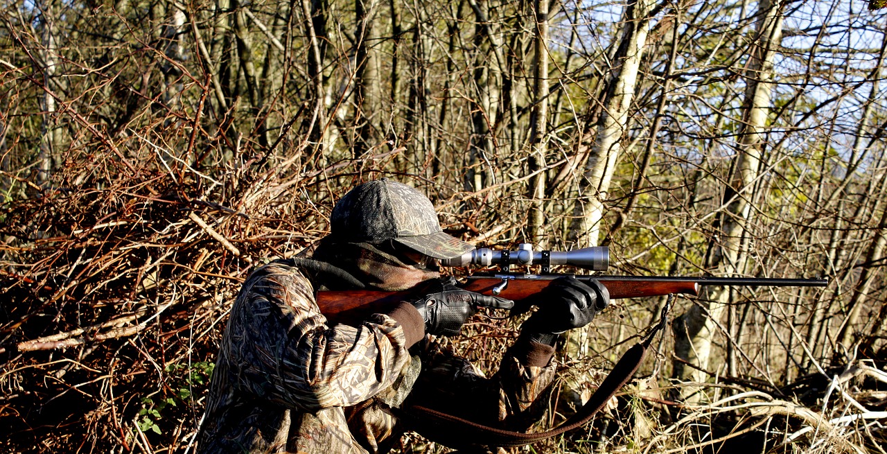 Système d’information sur les armes