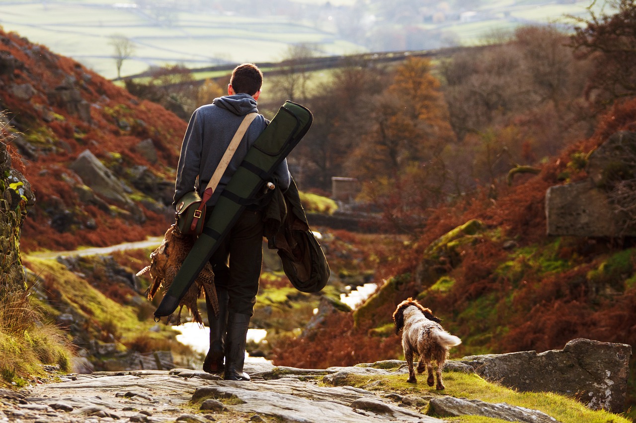 Ouverture et clôture de la chasse