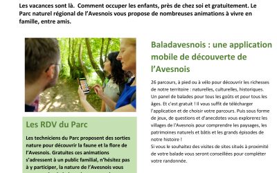 Idées de sorties du Parc naturel régional de l’Avesnois